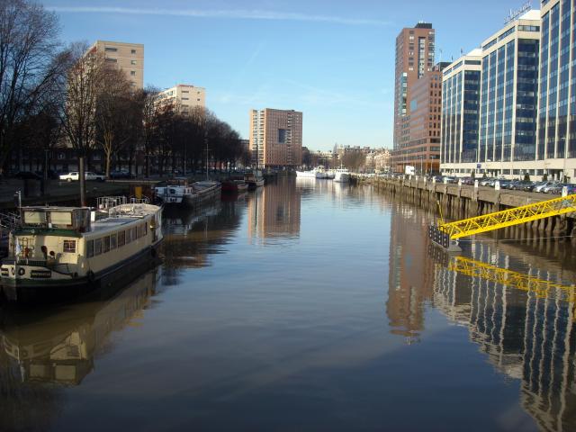 DSCN0503.JPG