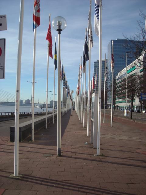 DSCN0510.JPG