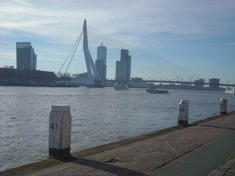 DSCN0511.JPG
