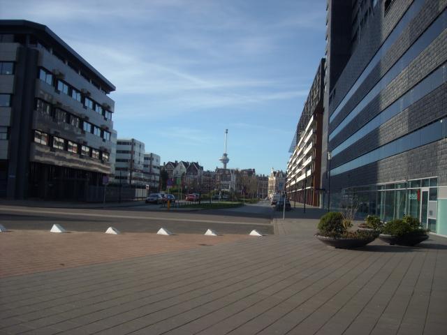 DSCN0517.JPG