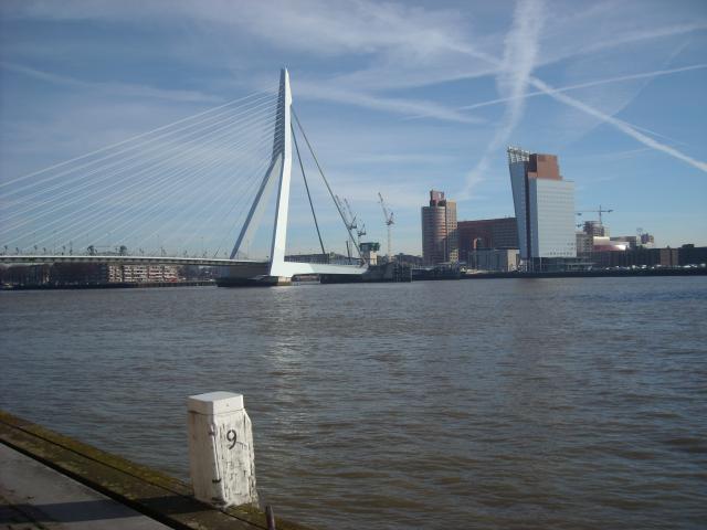 DSCN0523.JPG