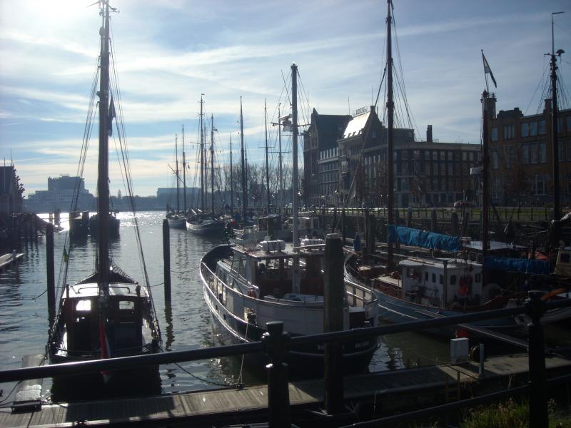 DSCN0531.JPG