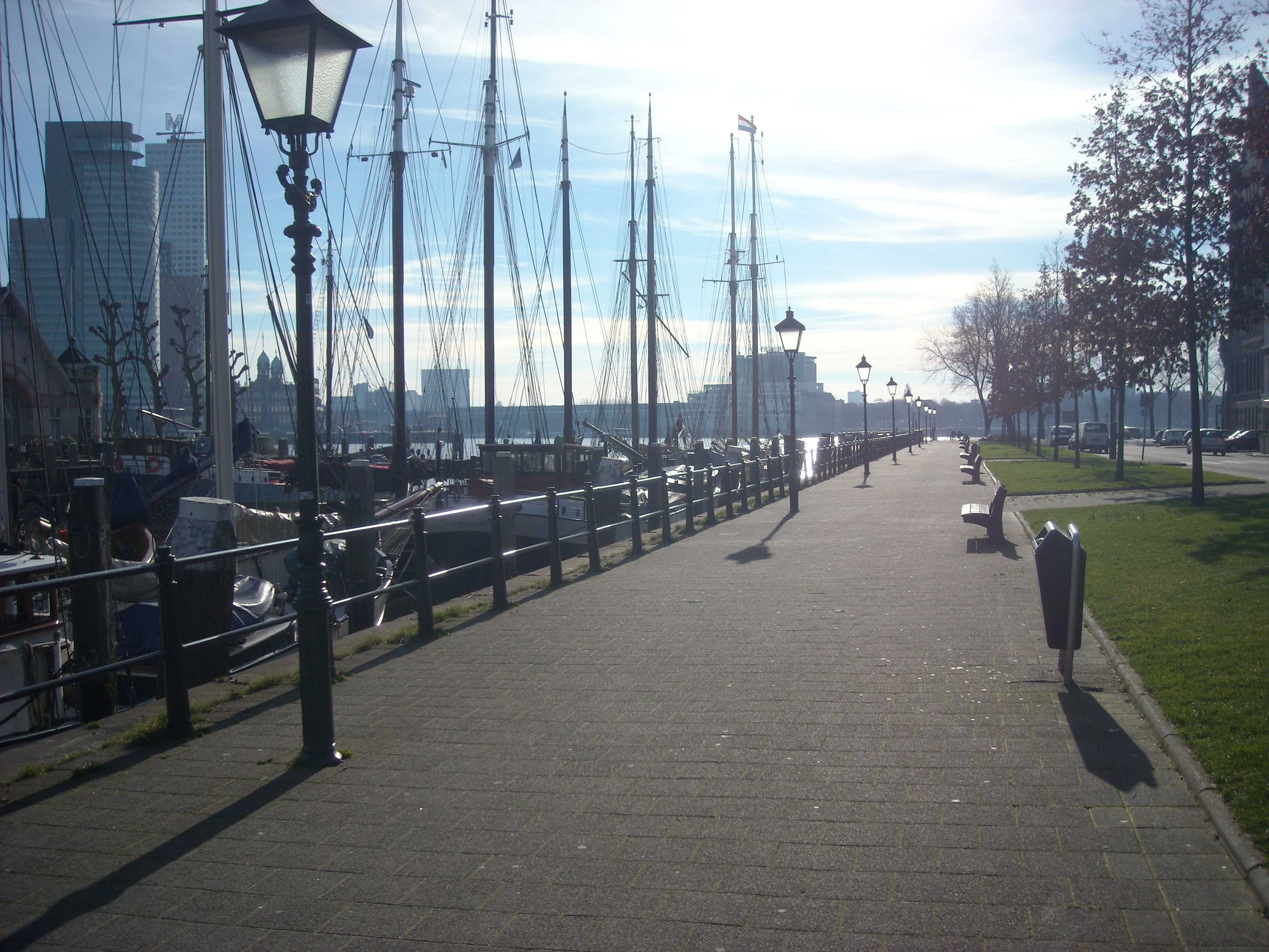 DSCN0533.JPG