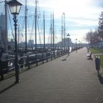 DSCN0533.JPG