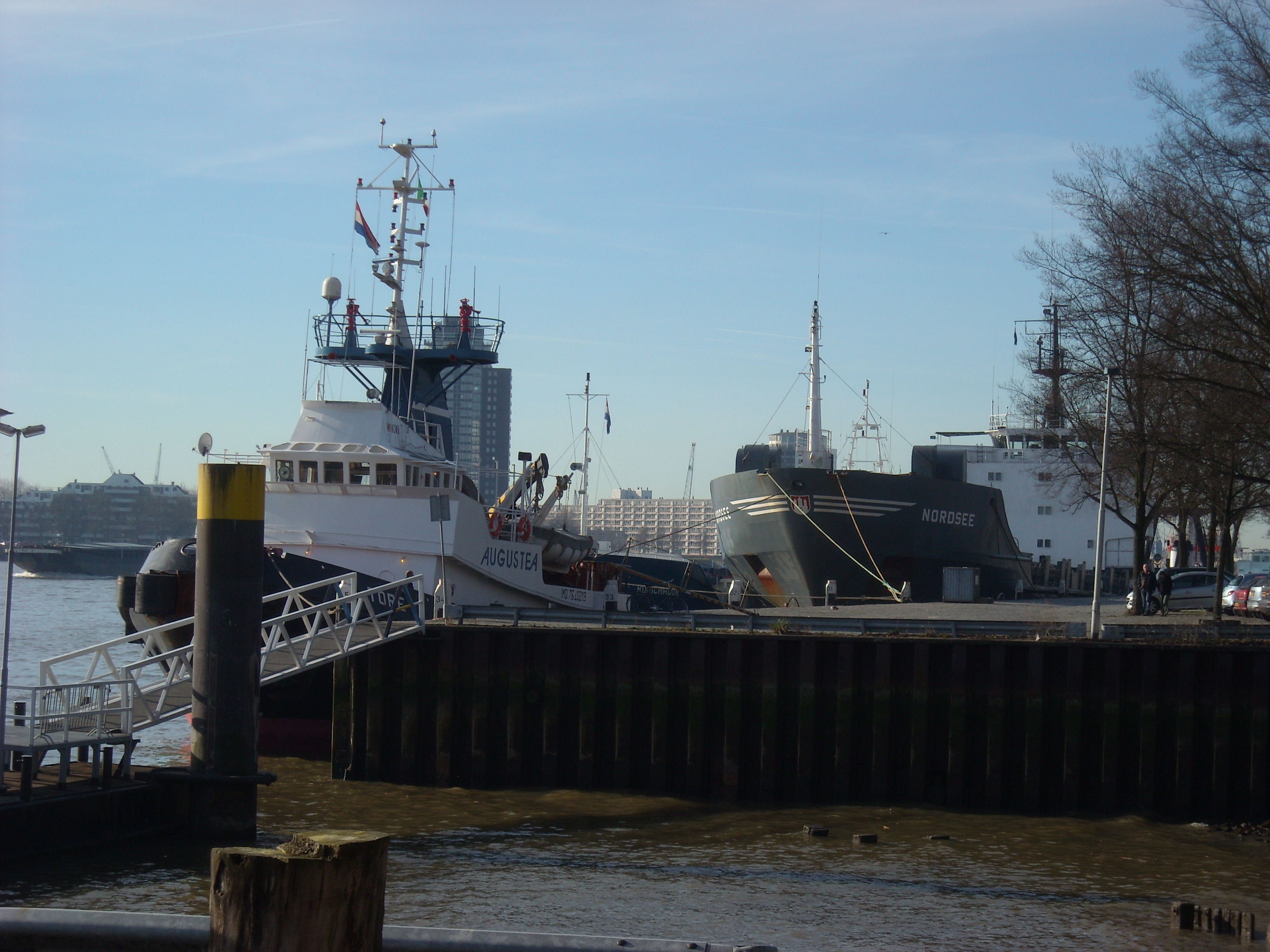 DSCN0539.JPG