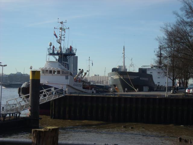 DSCN0539.JPG