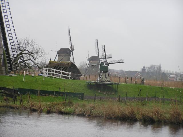 P1010032.JPG