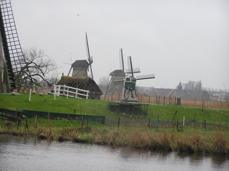 P1010032.JPG
