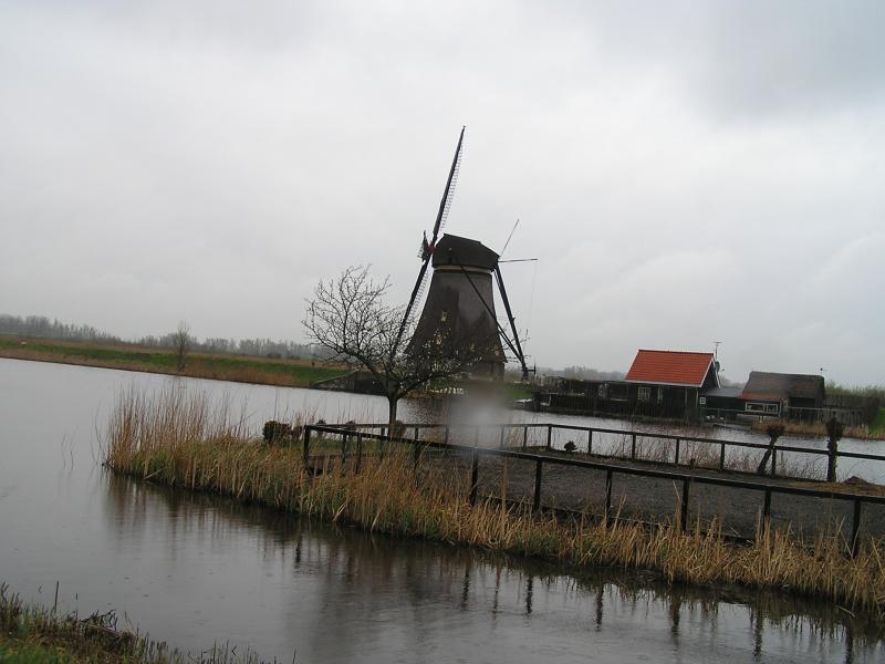 P1010035.JPG