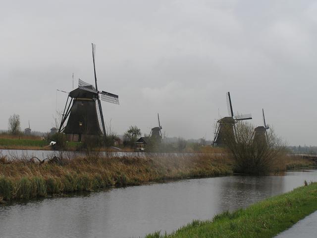 P1010037.JPG