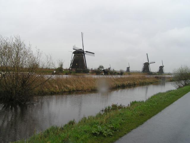 P1010039.JPG