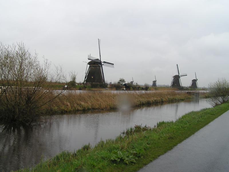 P1010039.JPG