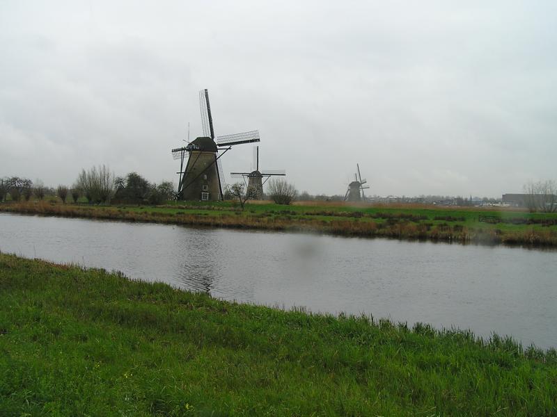 P1010040.JPG