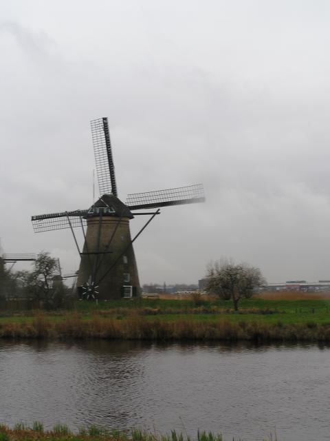 P1010042.JPG