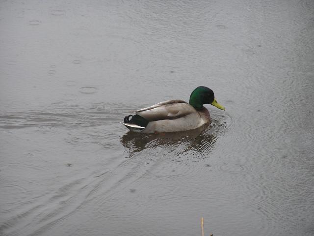 P1010051.JPG