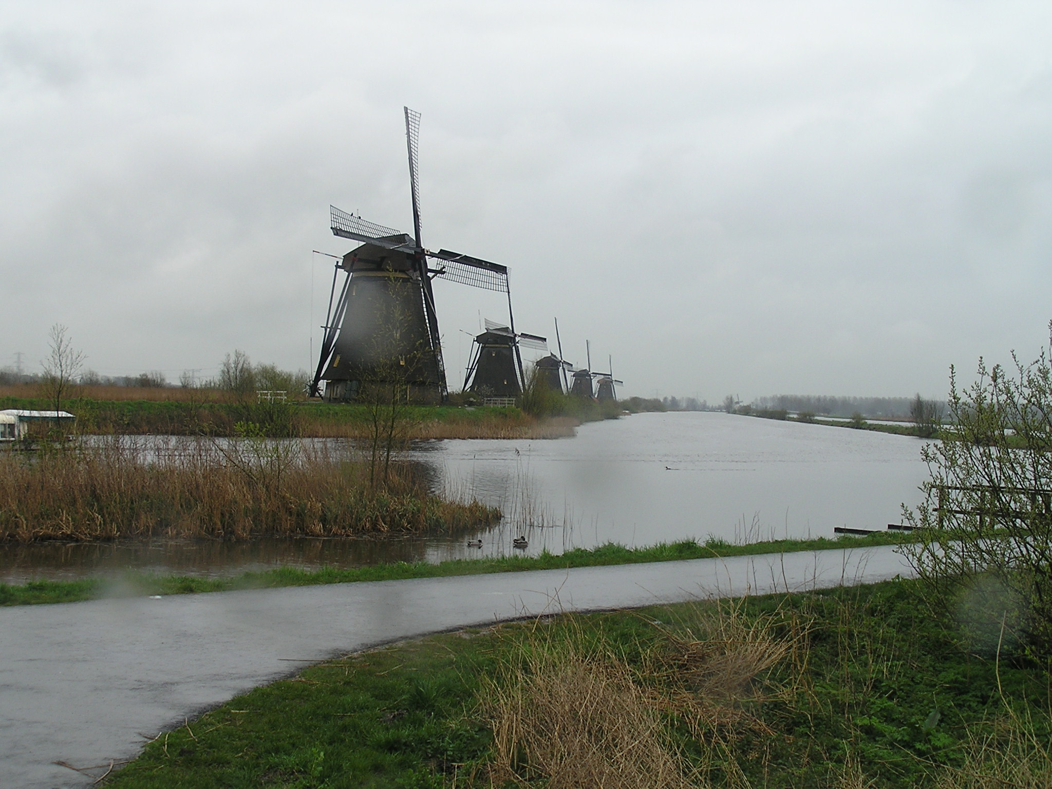 P1010057.JPG