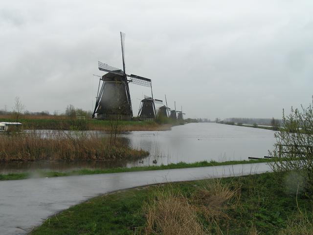 P1010057.JPG