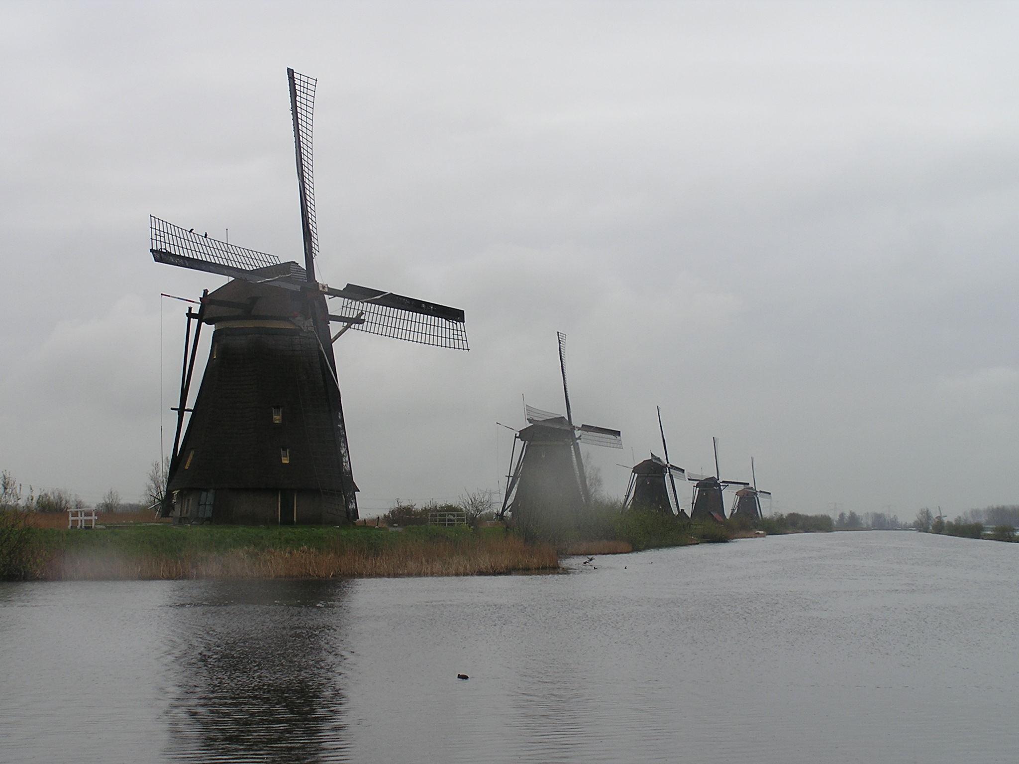 P1010062.JPG
