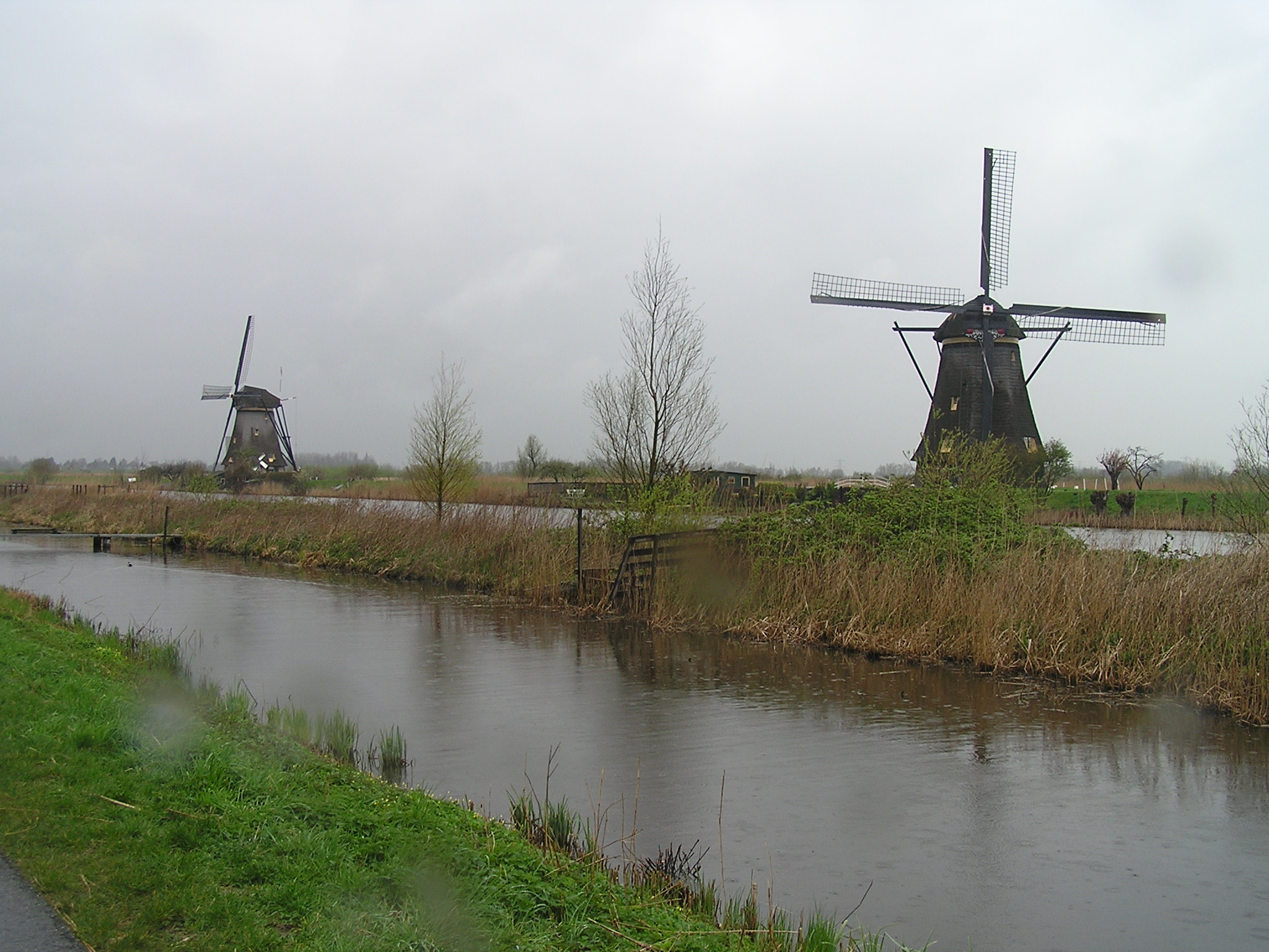 P1010065.JPG