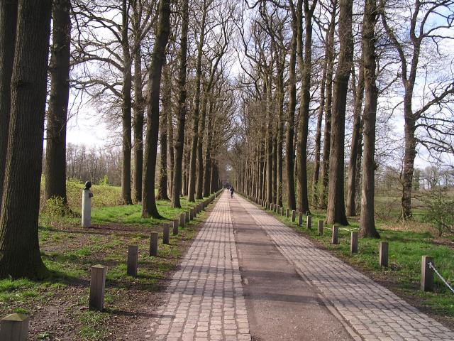 P1010071.JPG