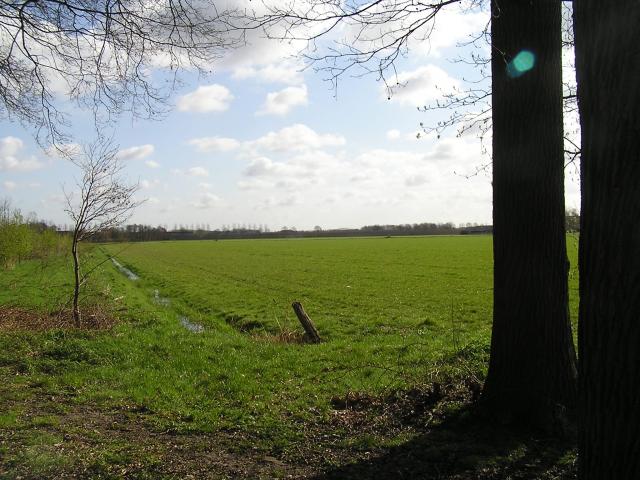 P1010076.JPG