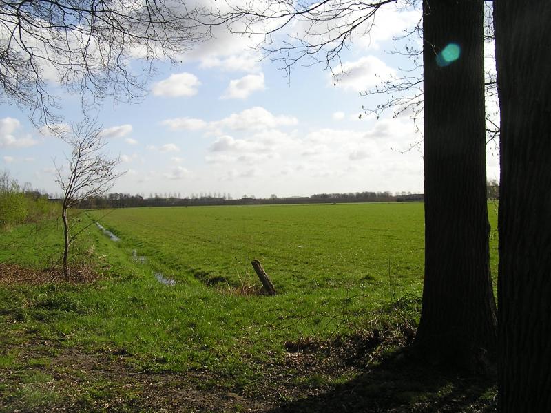P1010076.JPG
