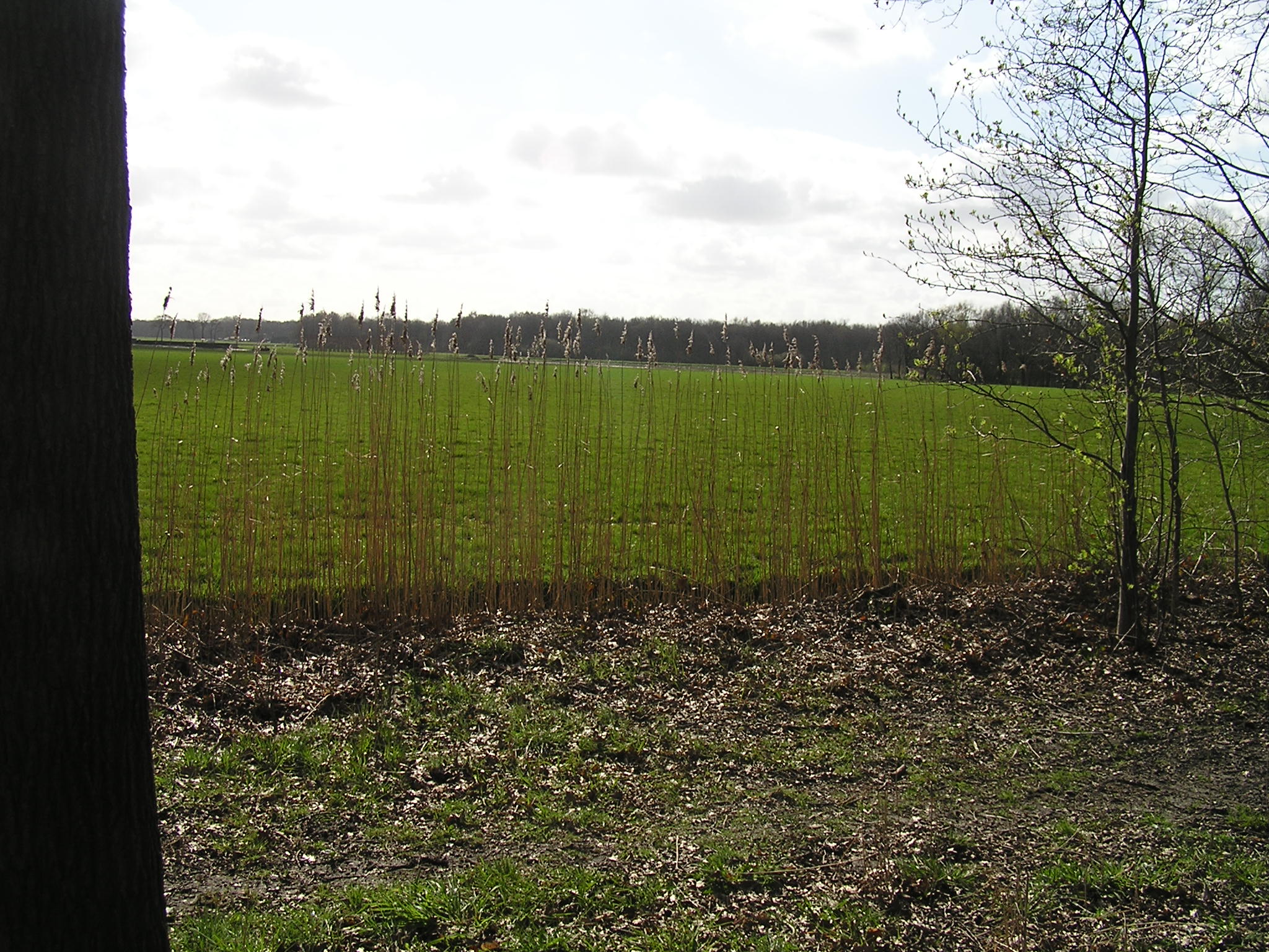 P1010096.JPG