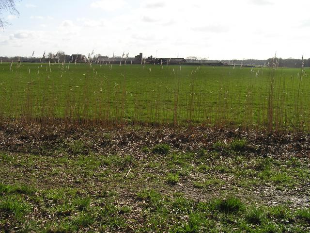 P1010097.JPG