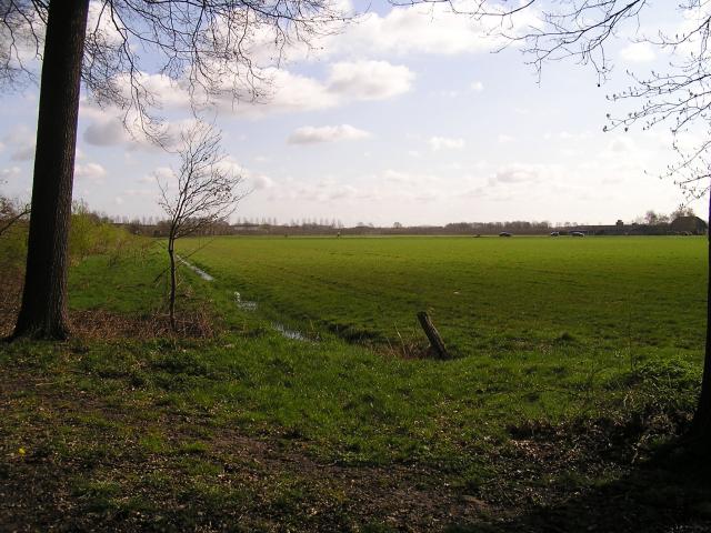 P1010098.JPG