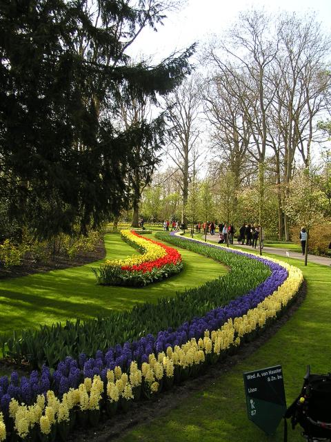 P1010153.JPG