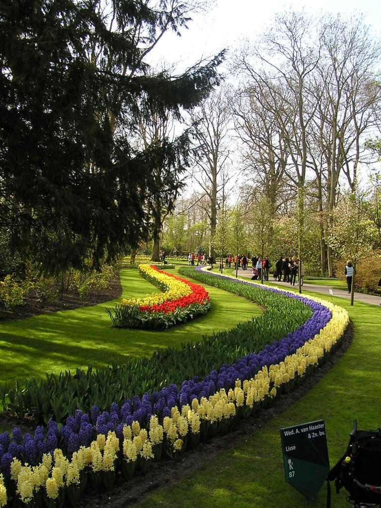 P1010153.JPG