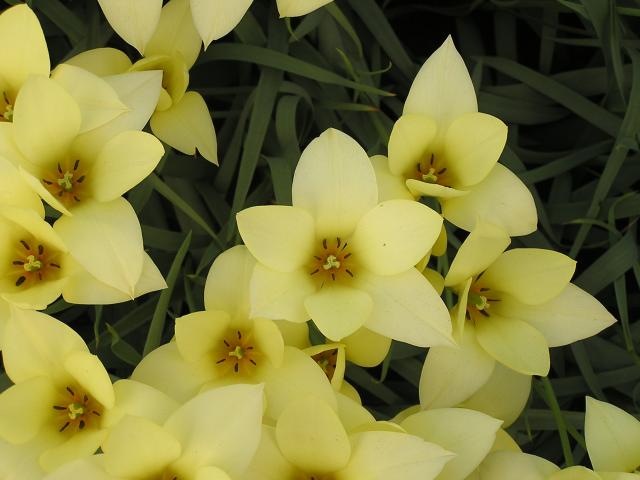 P1010284.JPG