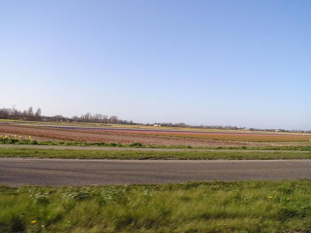 P1010404.JPG