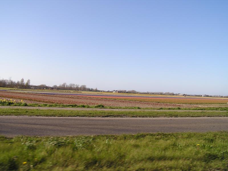 P1010404.JPG