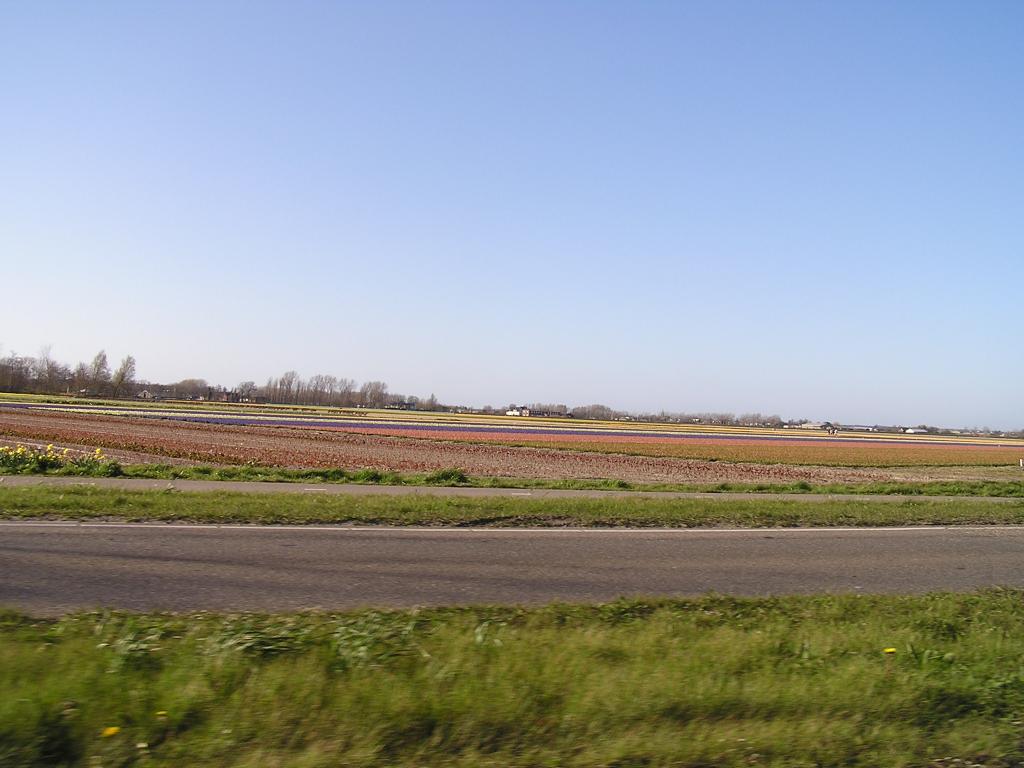 P1010404.JPG