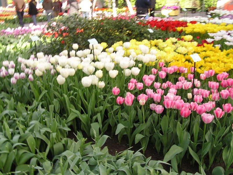 P1010320.JPG