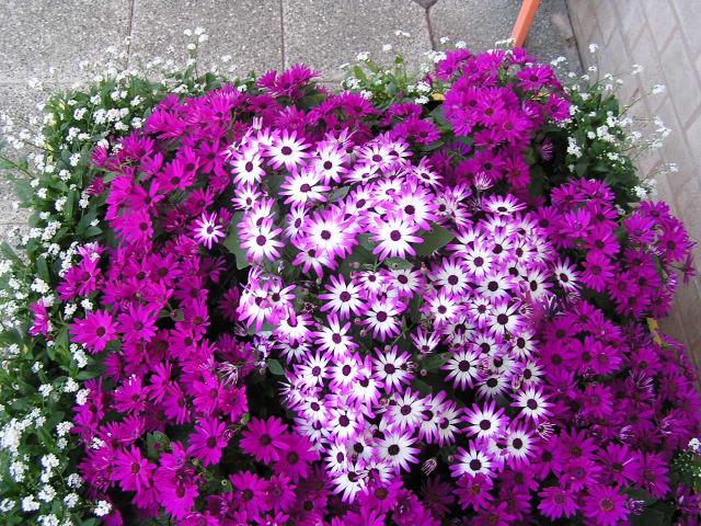 P1010326.JPG