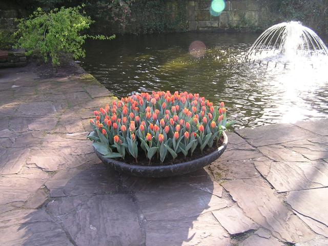 P1010358.JPG