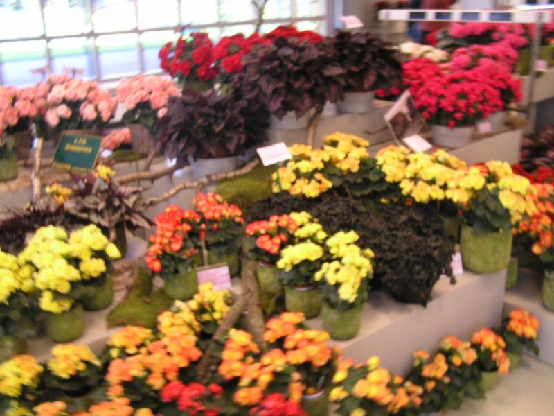 P1010373.JPG