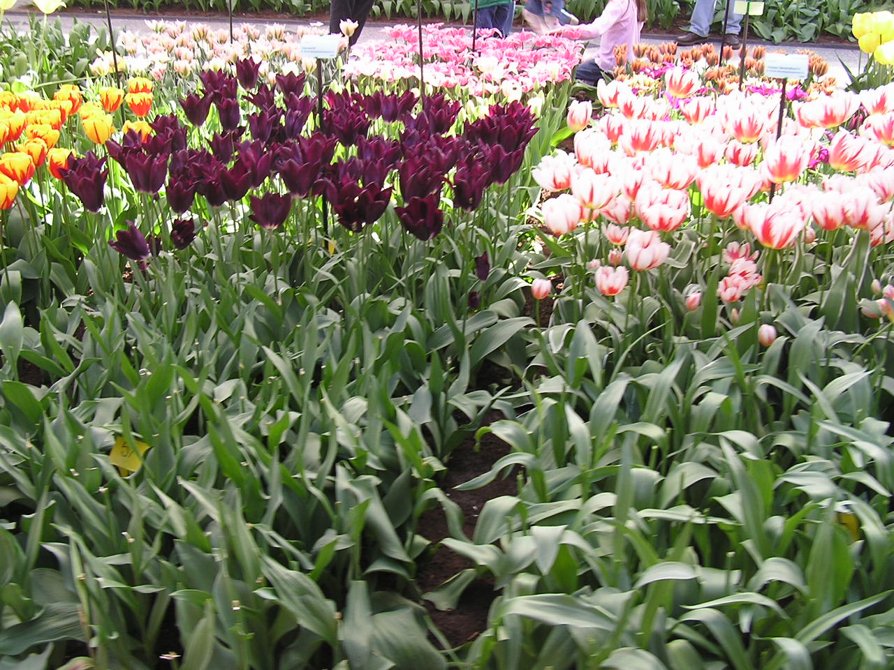 P1010305.JPG