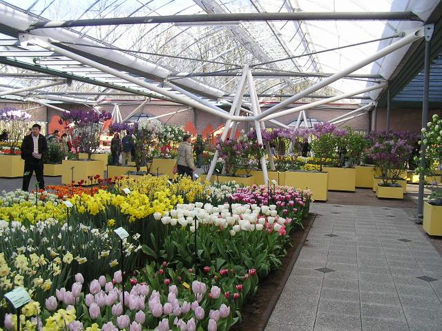 P1010303.JPG
