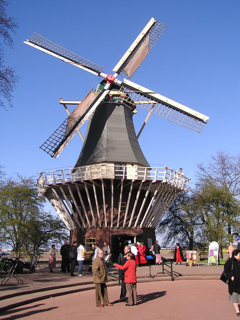P1010253.JPG