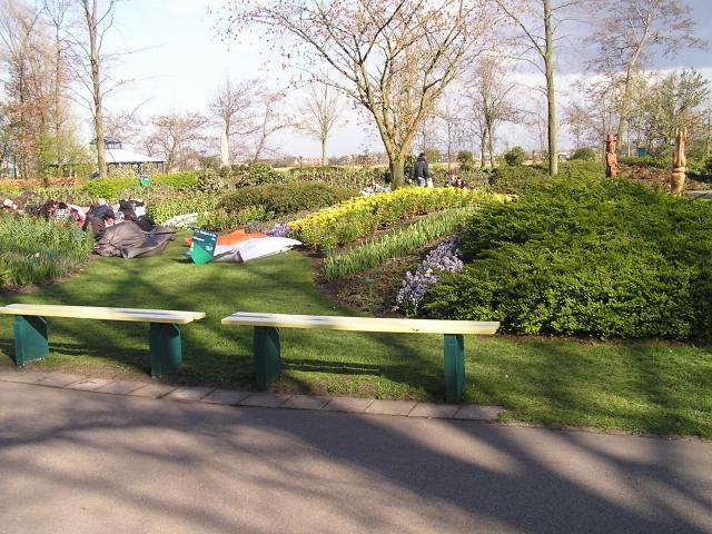 P1010256.JPG