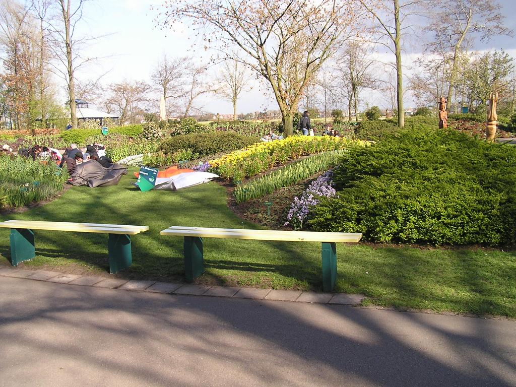 P1010256.JPG