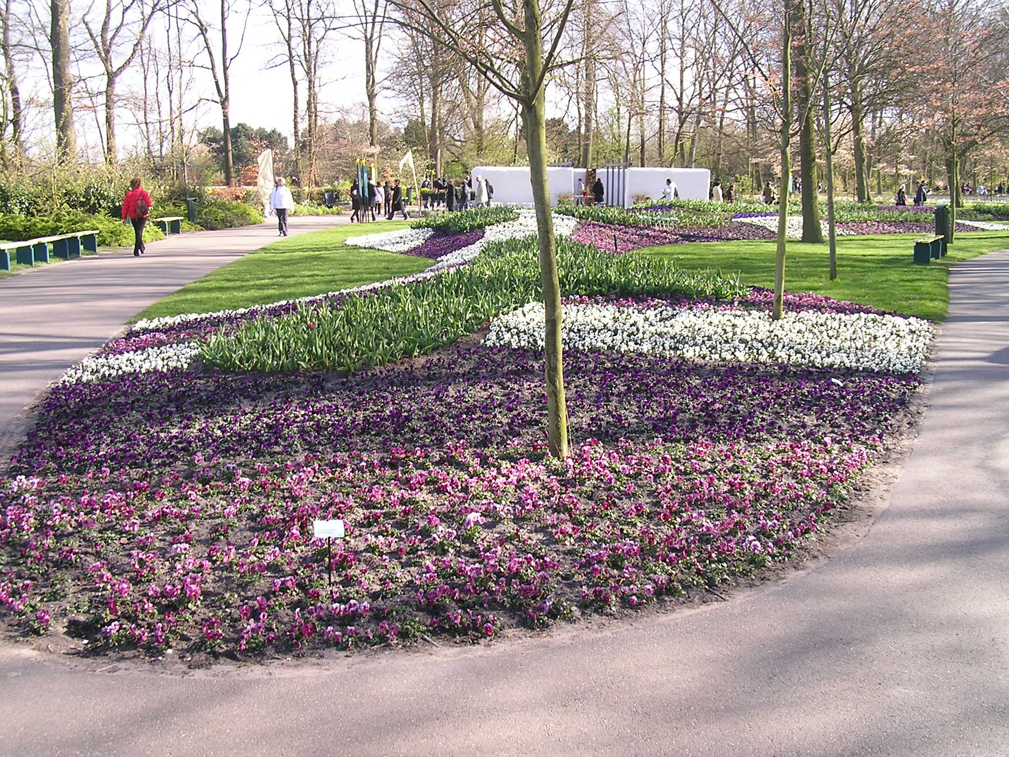 P1010257.JPG