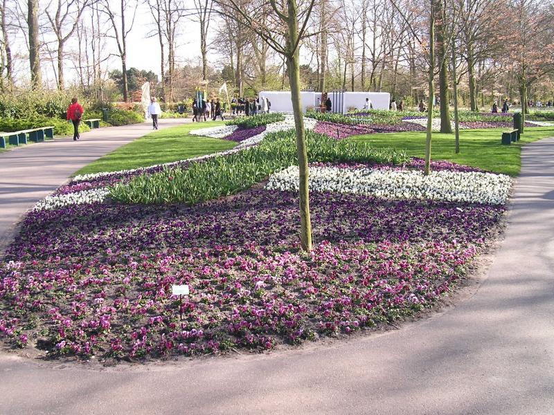 P1010257.JPG