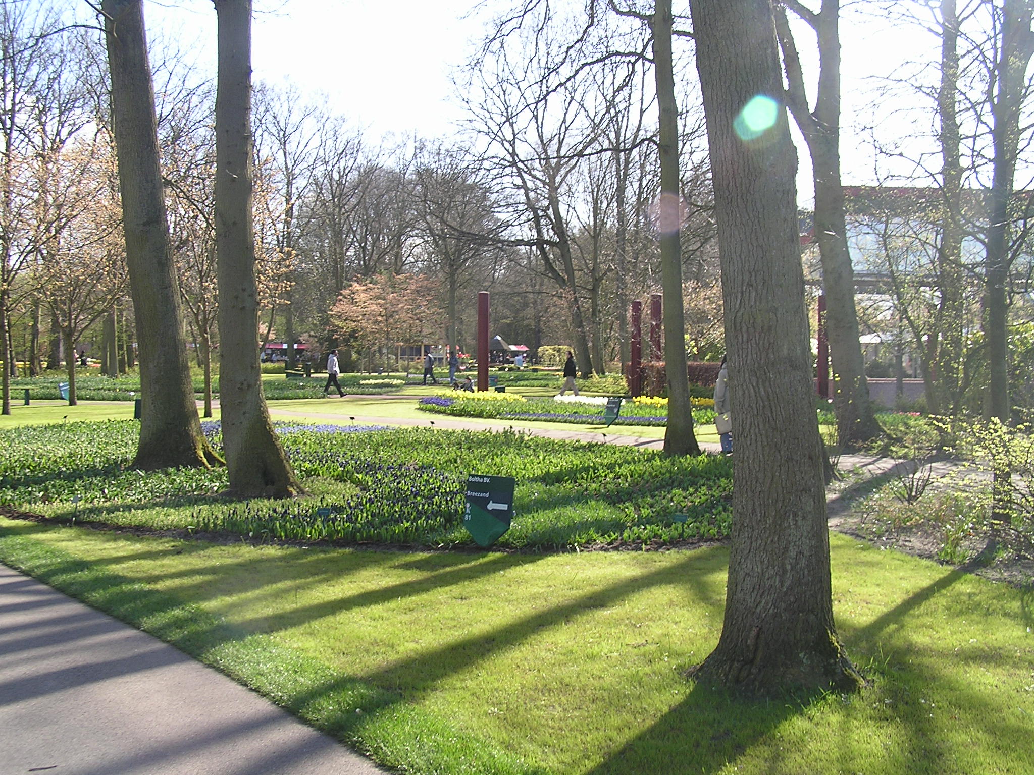 P1010267.JPG