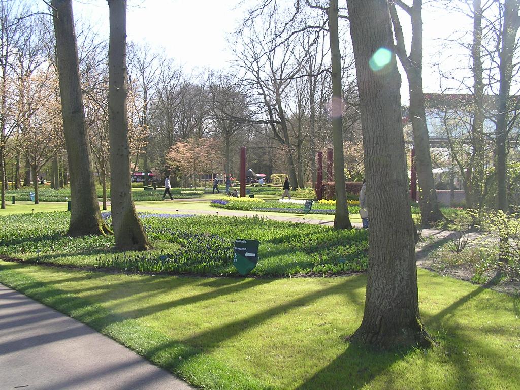 P1010267.JPG