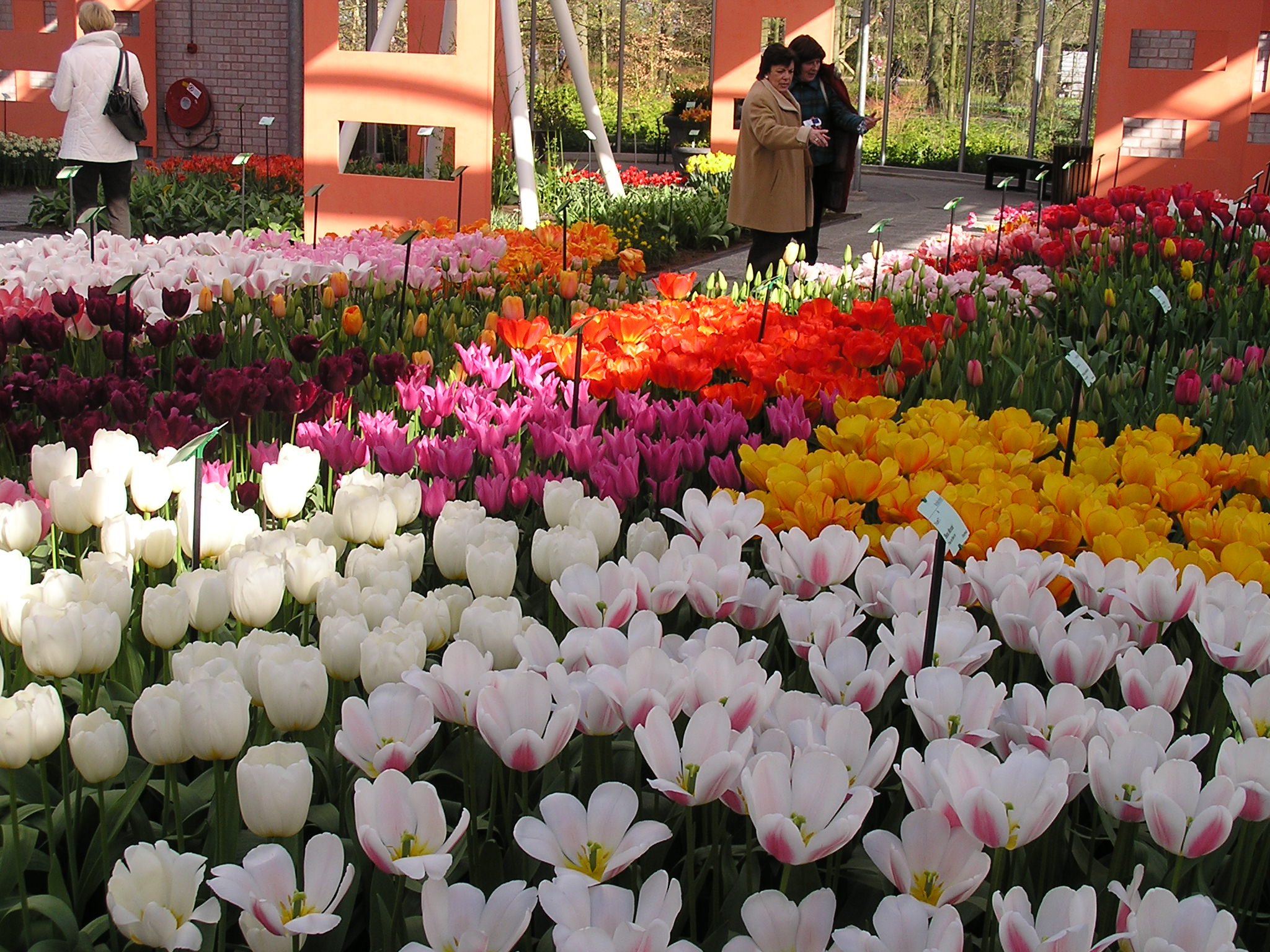 P1010279.JPG