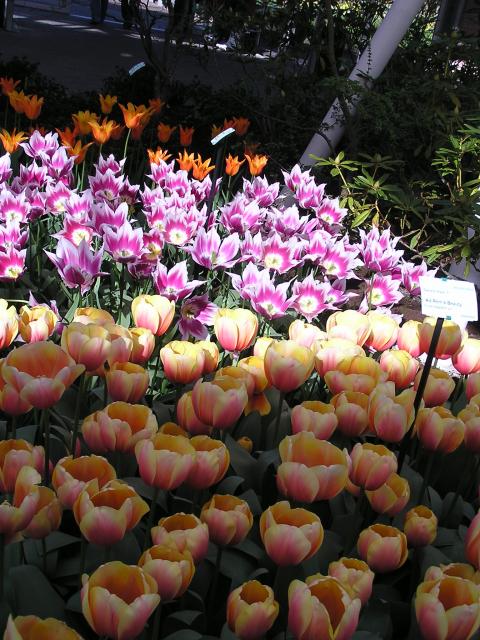 P1010281.JPG